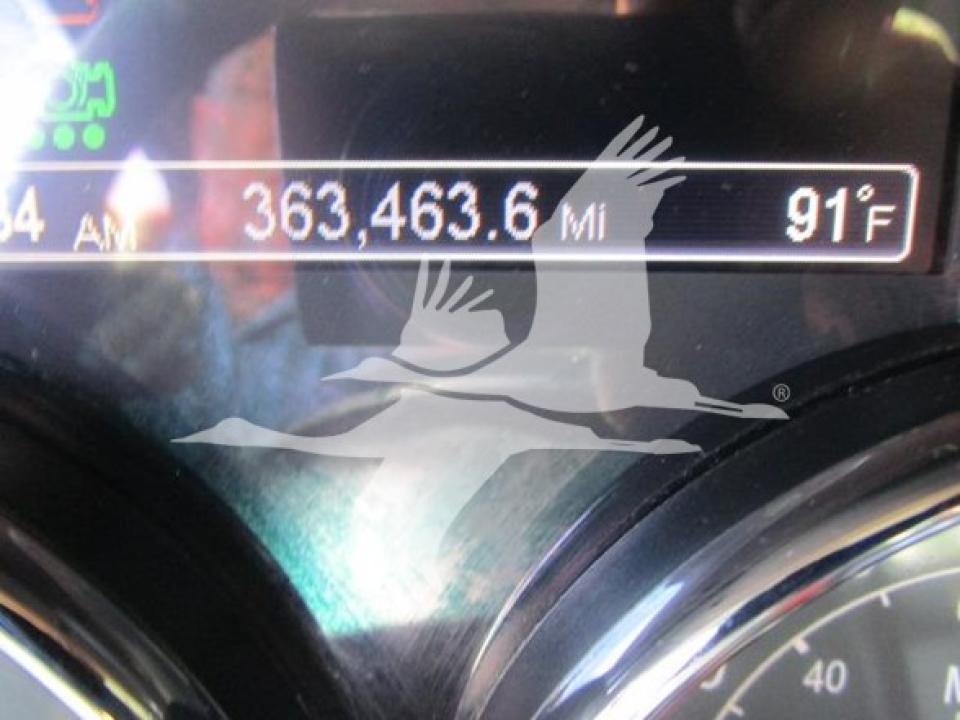 174924204012808.jpg