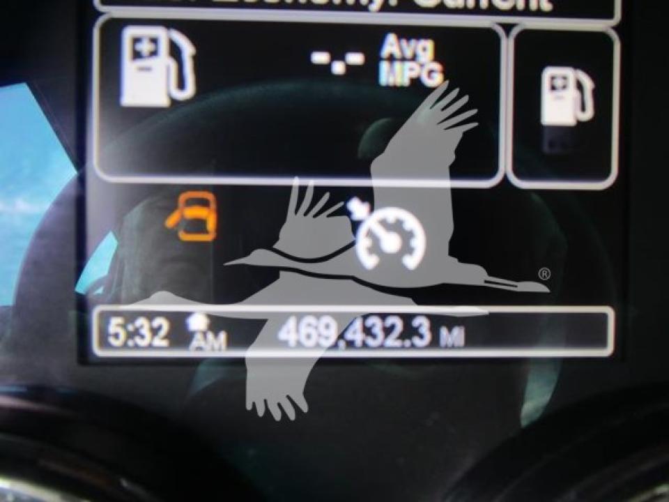 174924204017893.jpg