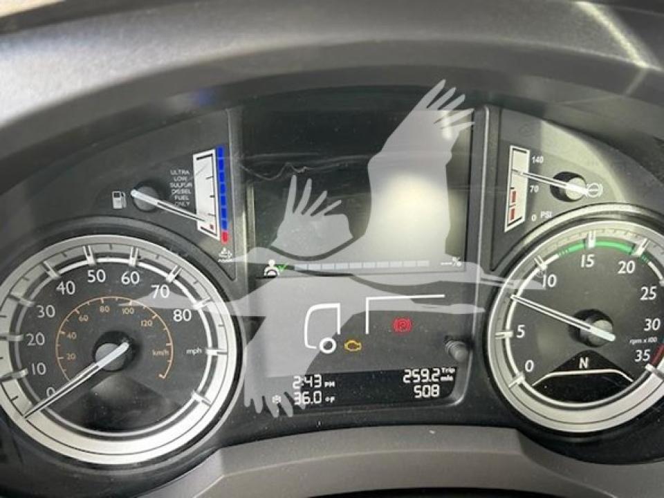 174924204019885.jpg