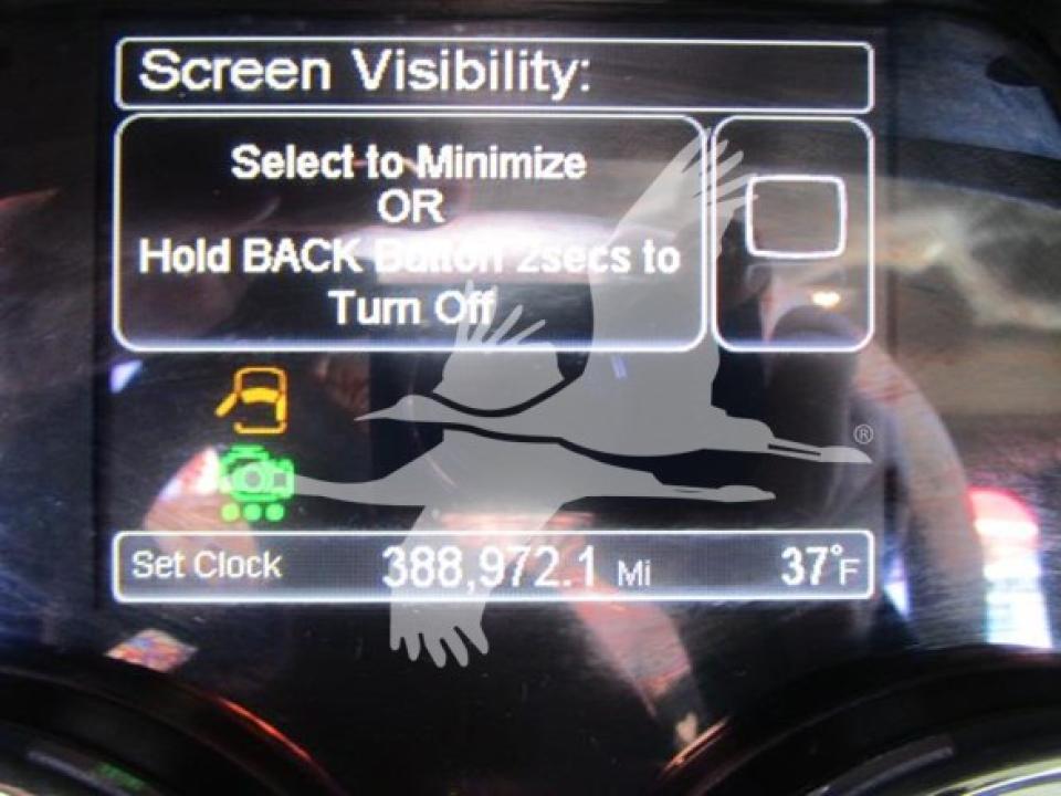 174924204026584.jpg