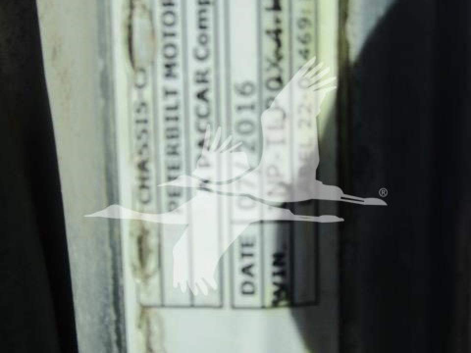 174924204036698.jpg