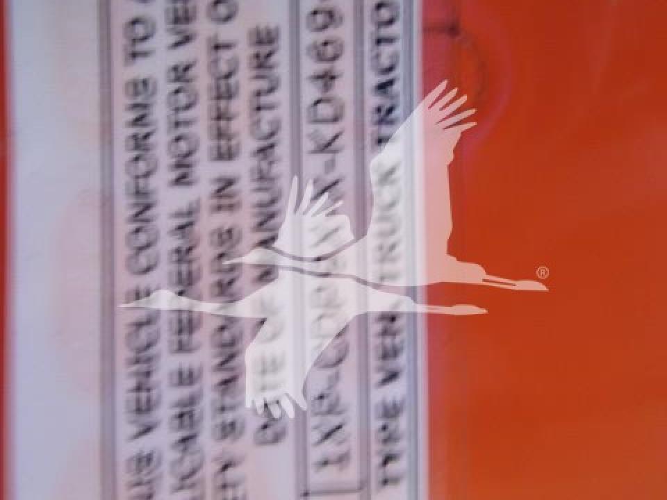 174924204041333.jpg