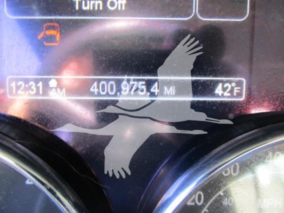 174924204043016.jpg