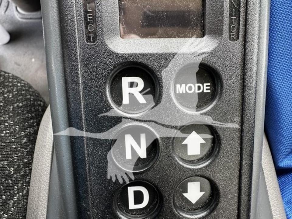 174924204043339.jpg