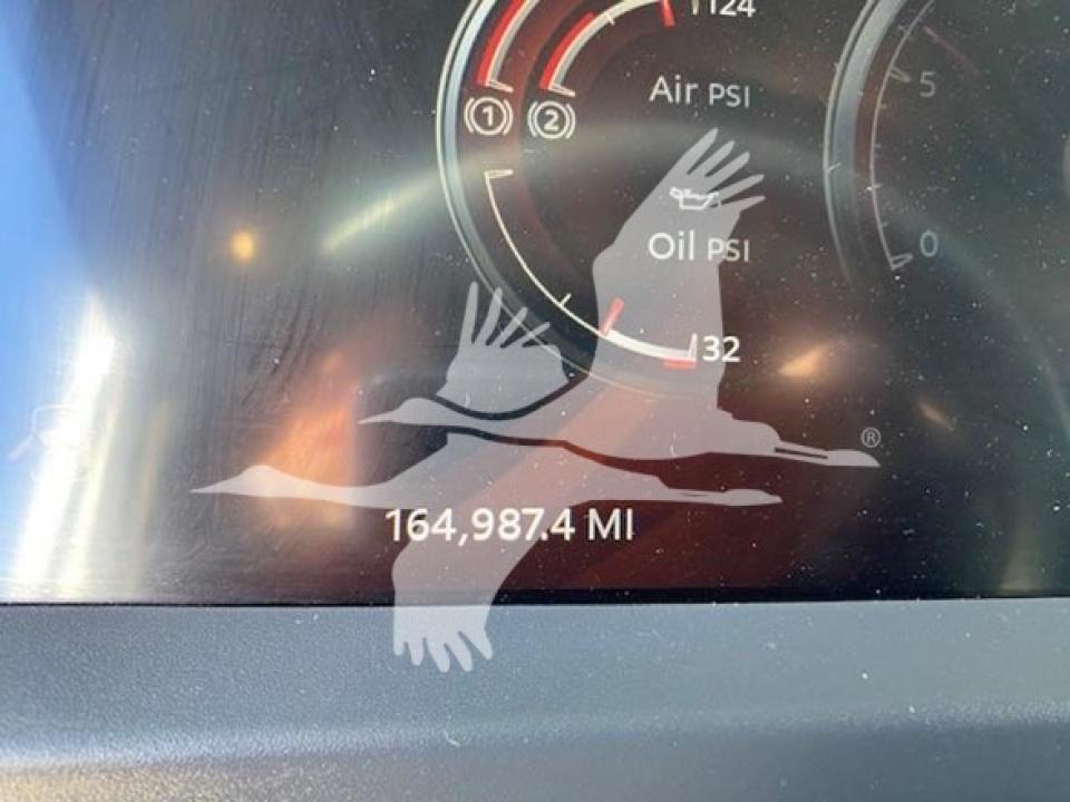 174924204055241.jpg