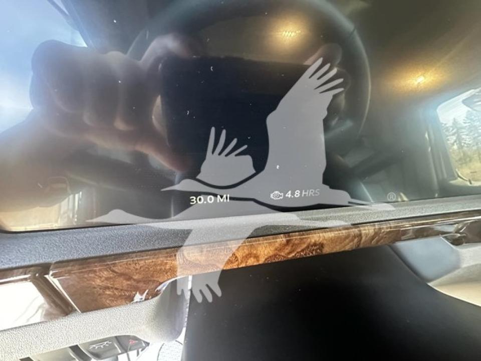 174924204063276.jpg