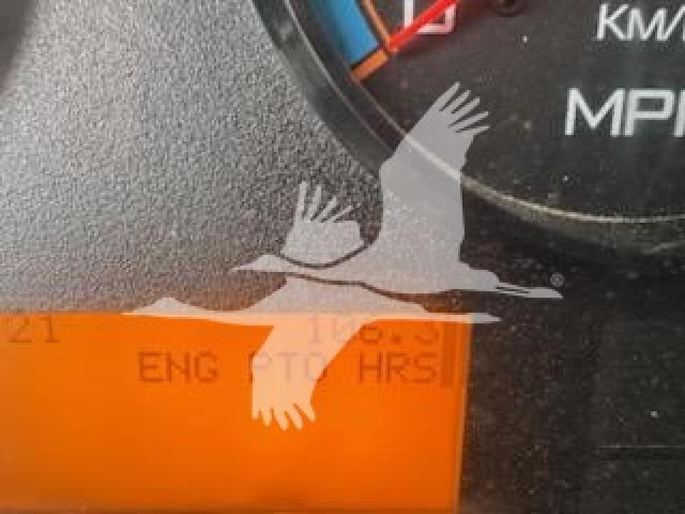 174924204067622.jpg