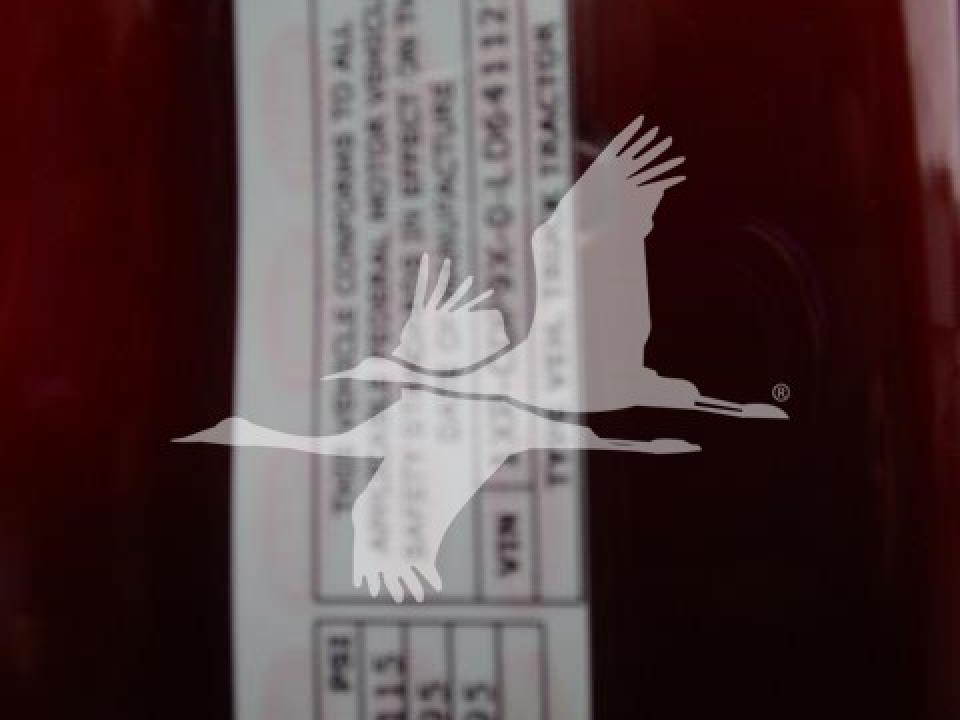 174924204070736.jpg