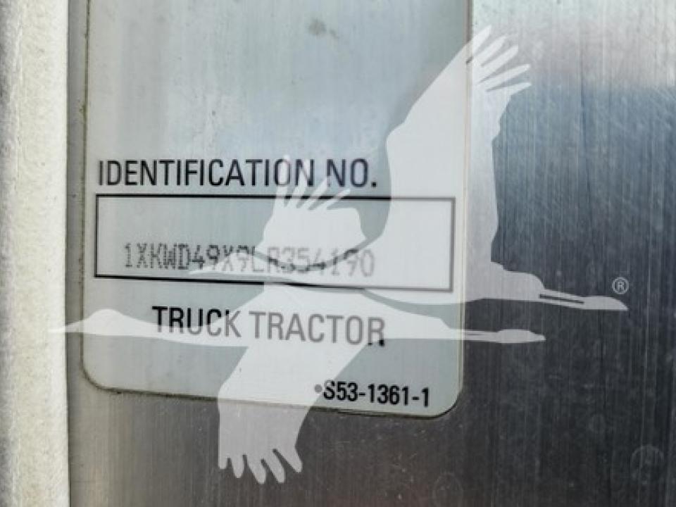 174924204072302.jpg