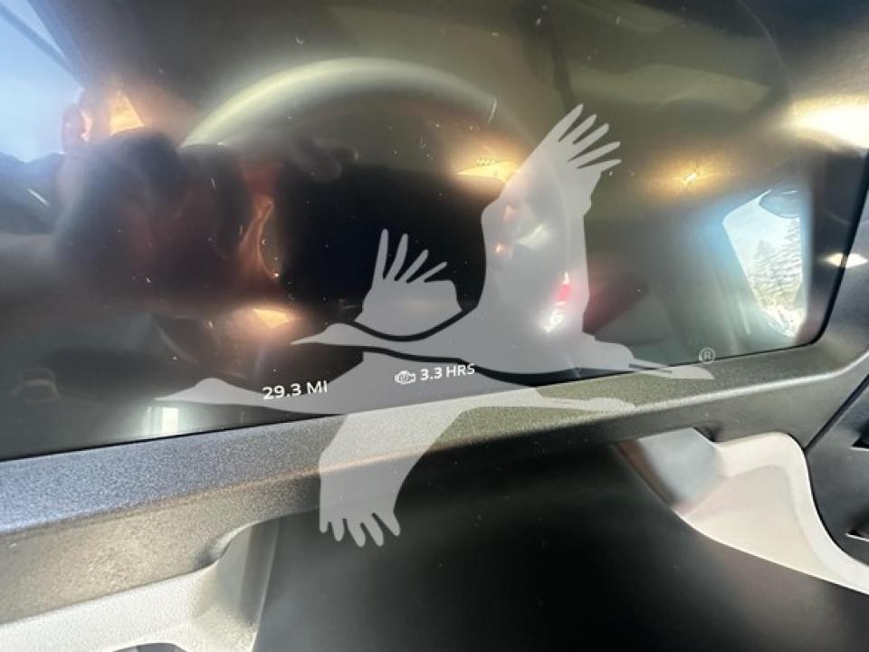 174924204093132.jpg