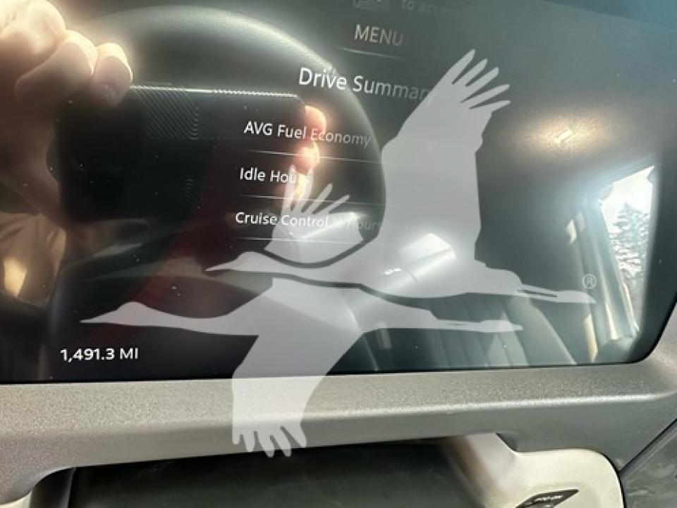 174924204097465.jpg