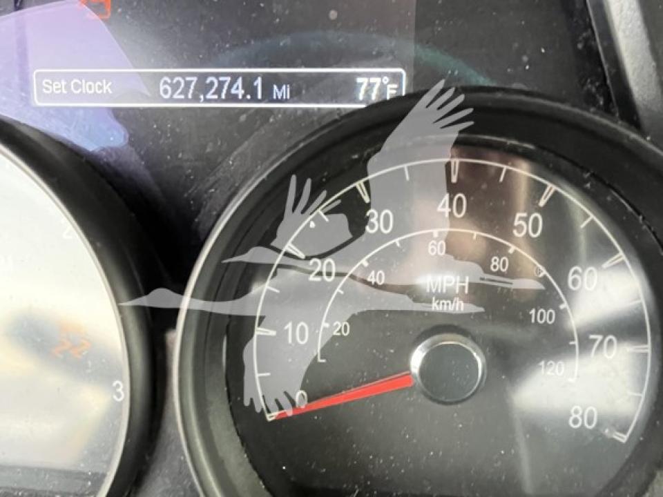 174924204111838.jpg