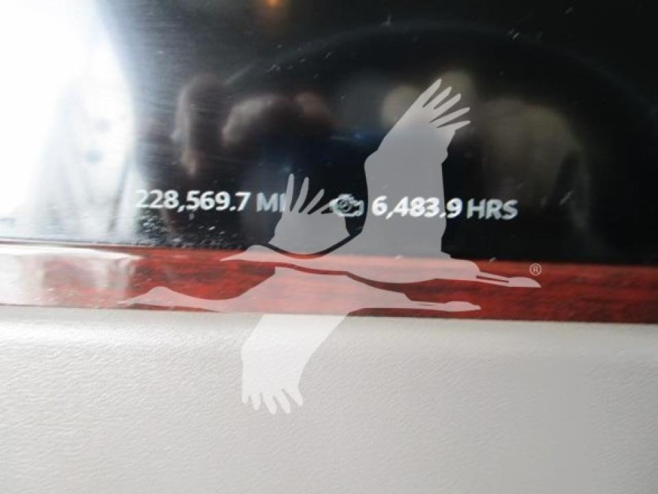 174924204123390.jpg