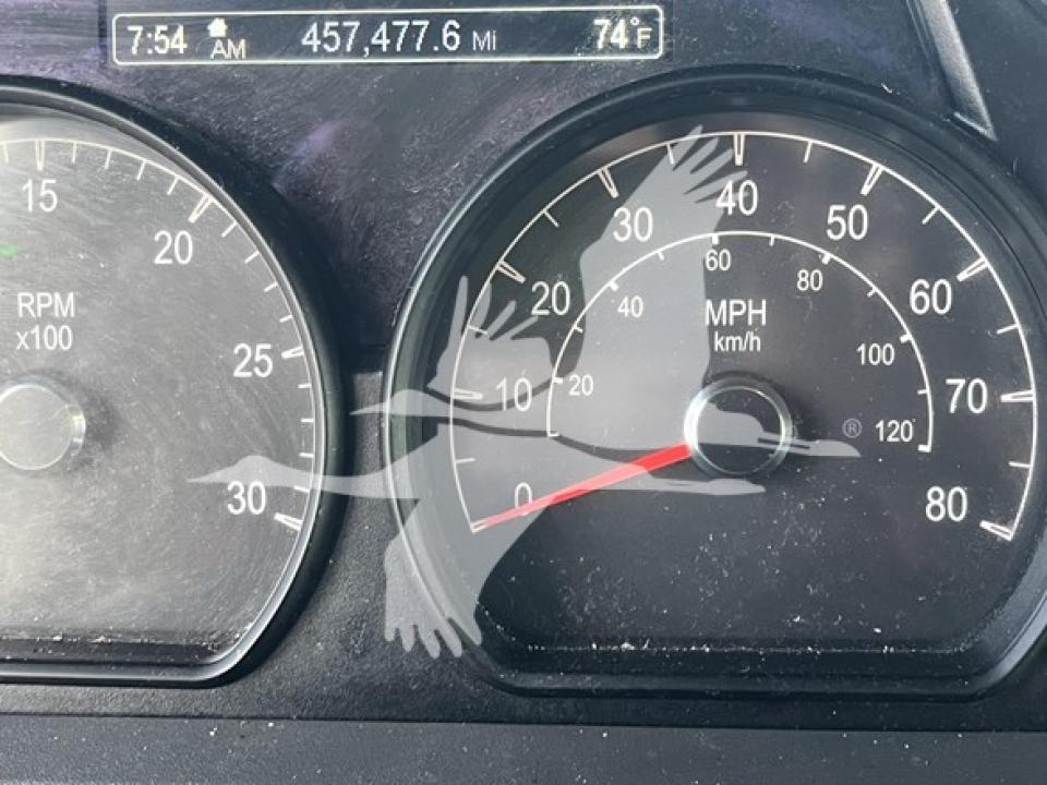 174924204129394.jpg