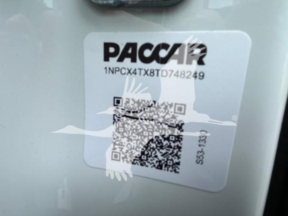 174924204135934.jpg