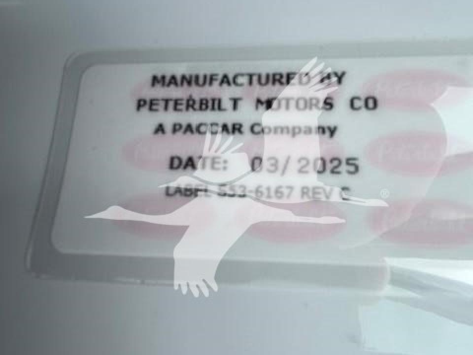 174924204166440.jpg