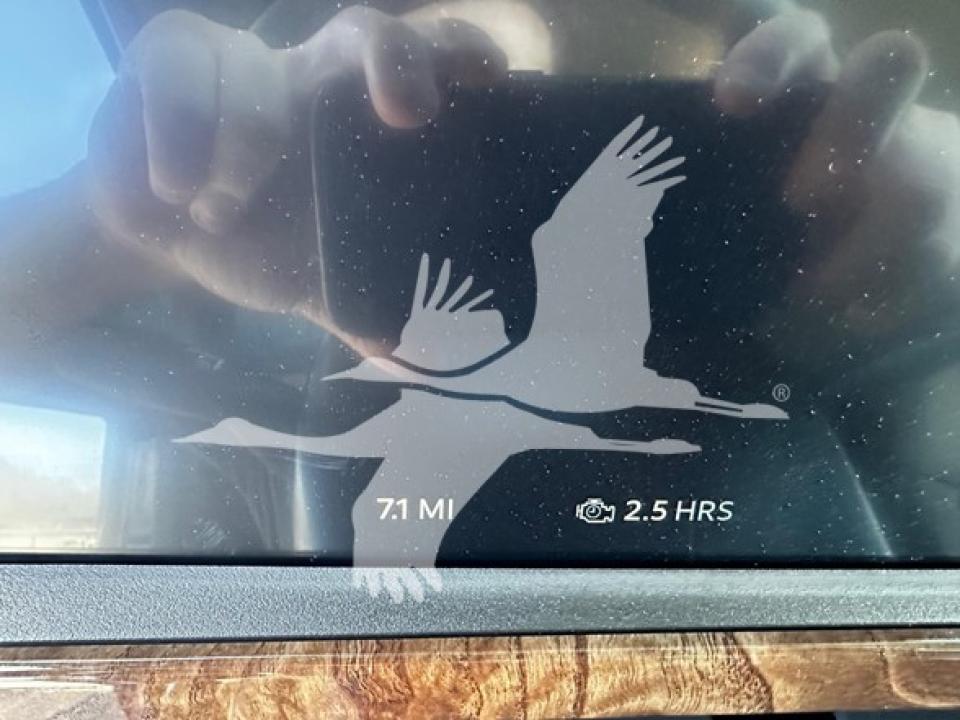 174924204167083.jpg