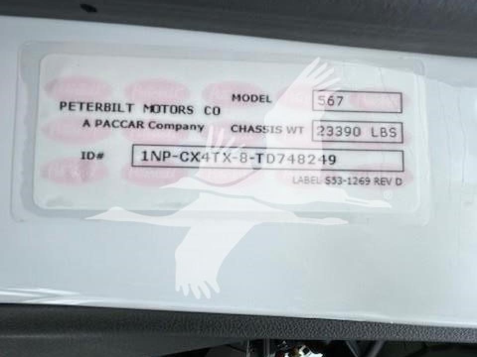 174924204171176.jpg