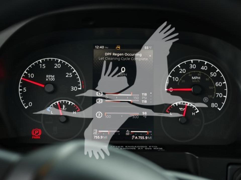 174924204182048.jpg