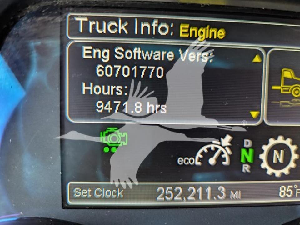 174924204186598.jpg