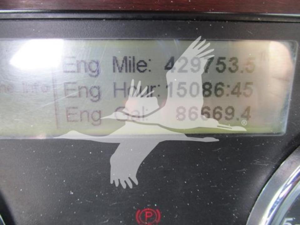 174924204195790.jpg