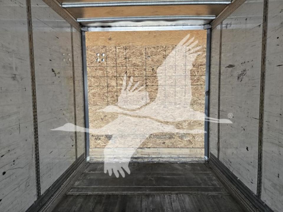 175009717522559.jpg