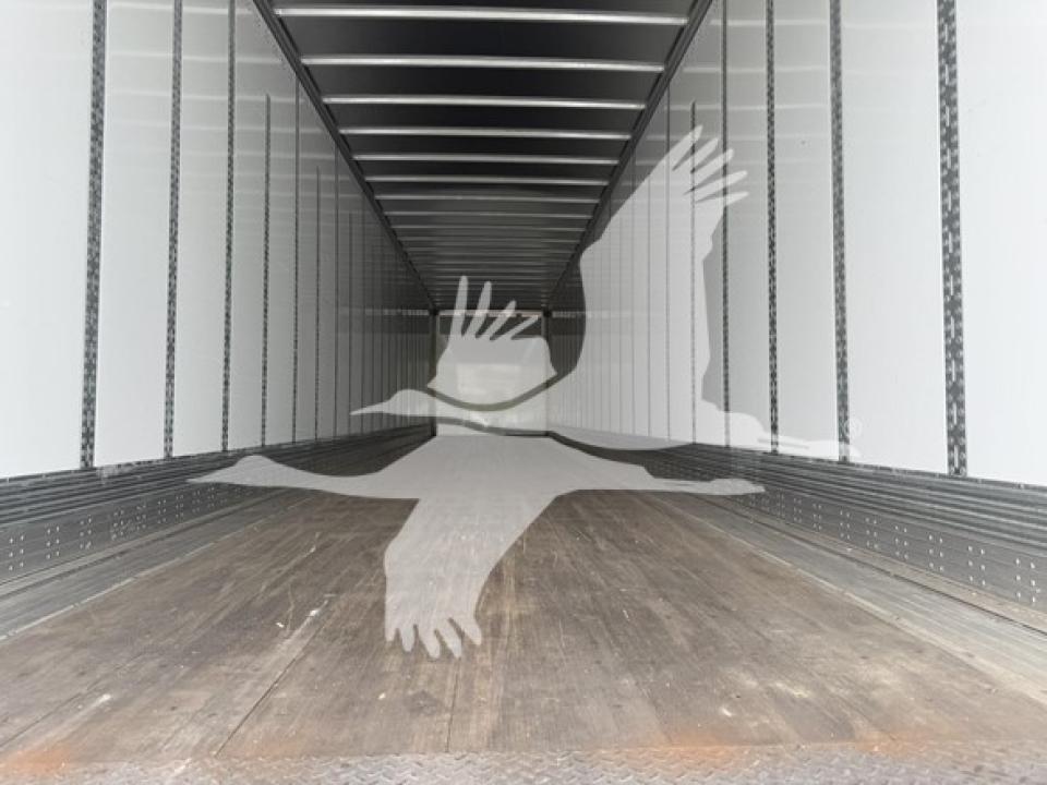175009717594437.jpg