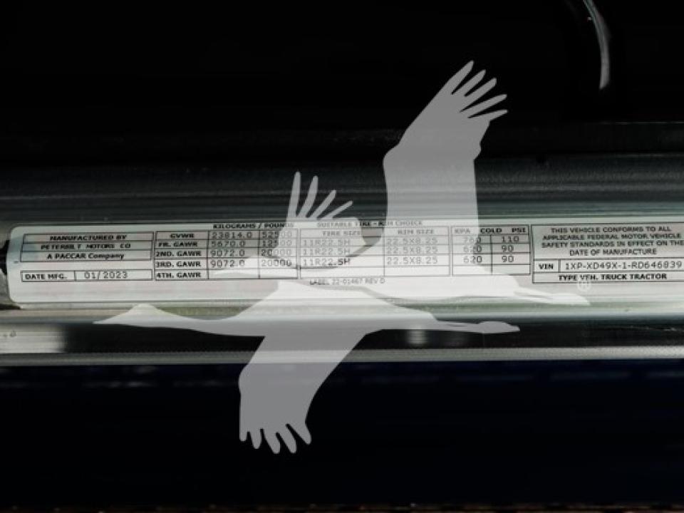 175685220532678.jpg