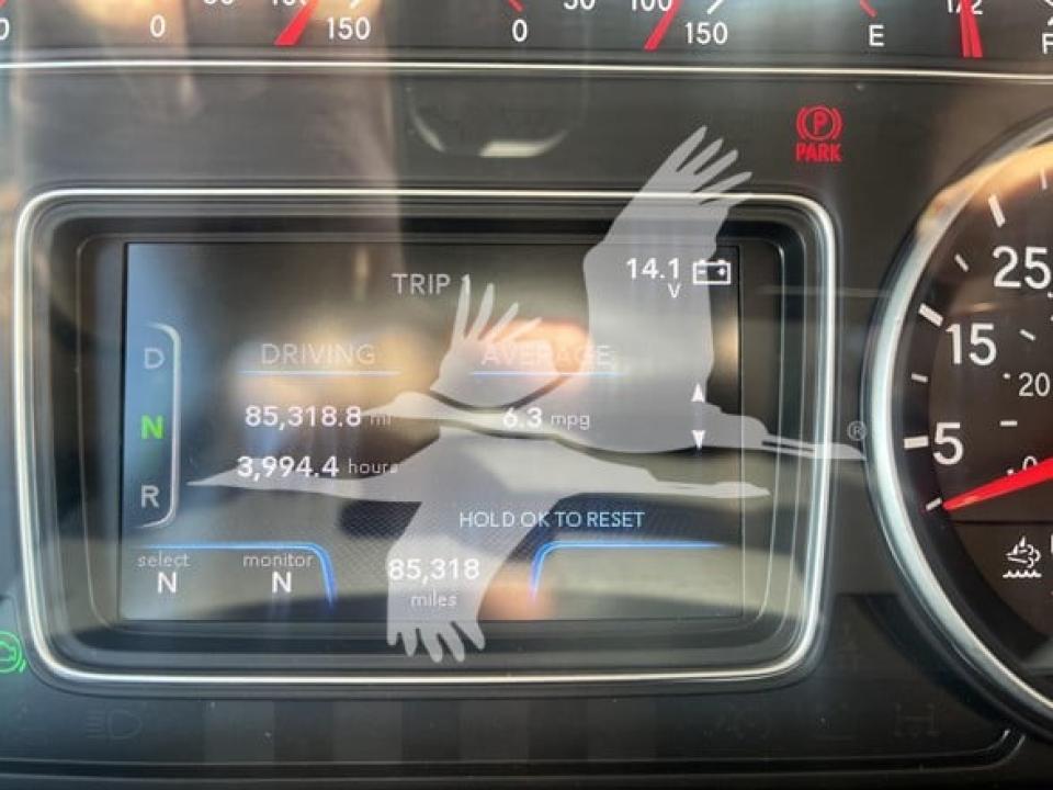 175685220568850.jpg