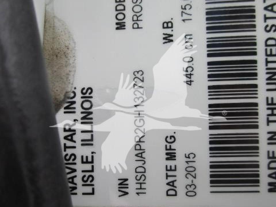 175685220592717.jpg