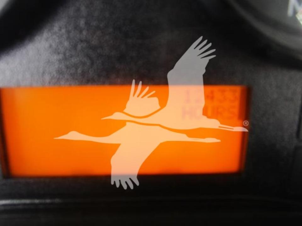 175685220593775.jpg