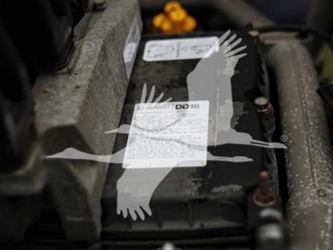 174924204042572.jpg